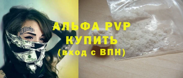 ешки Белокуриха